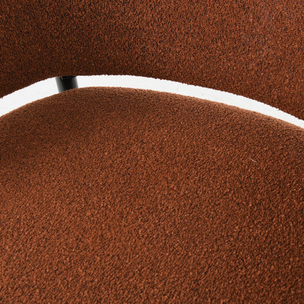 cozy brown leisure chair